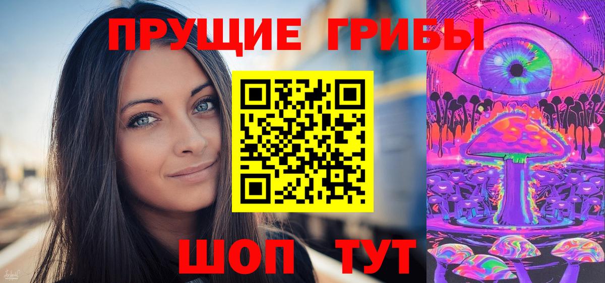 Каменка  Псилоцибиновые грибы Psilocybe  Галлюциногенные грибы мицелий  Вход с VPN 