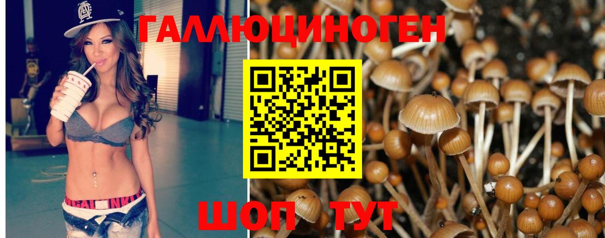 Псилоцибиновые грибы Magic Shrooms Каменка